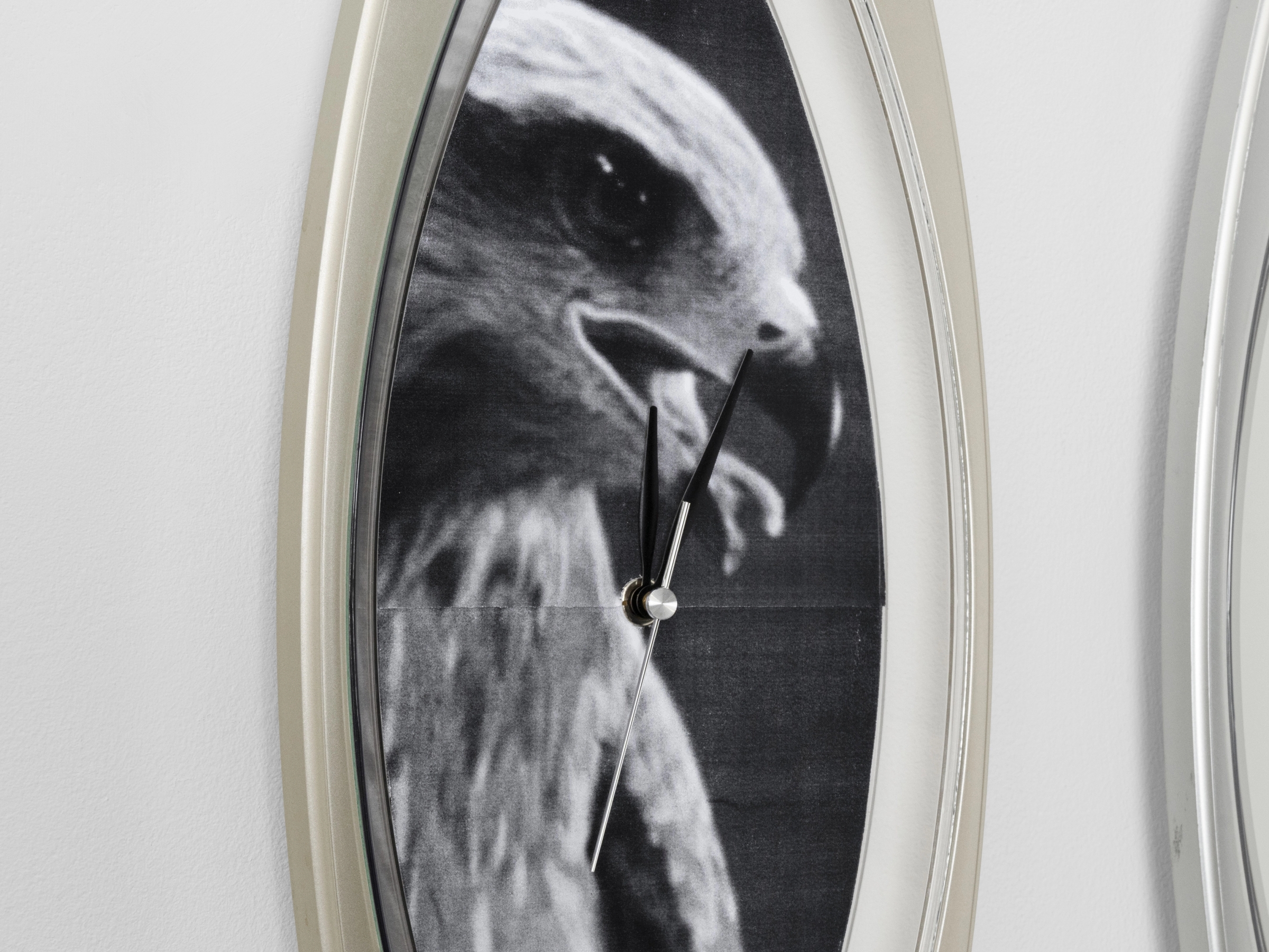 Hover prerender image 8