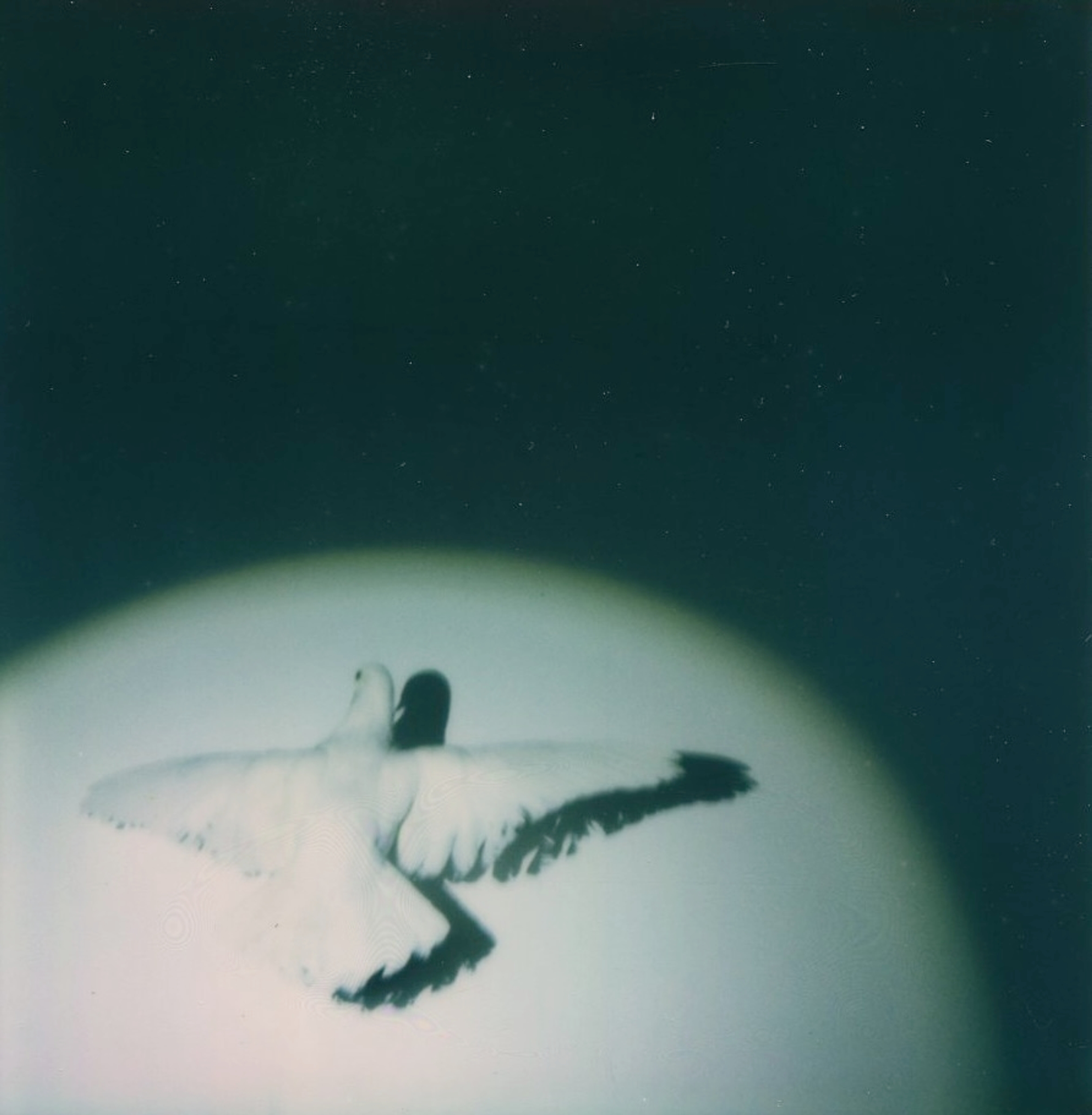 Hover prerender image 58