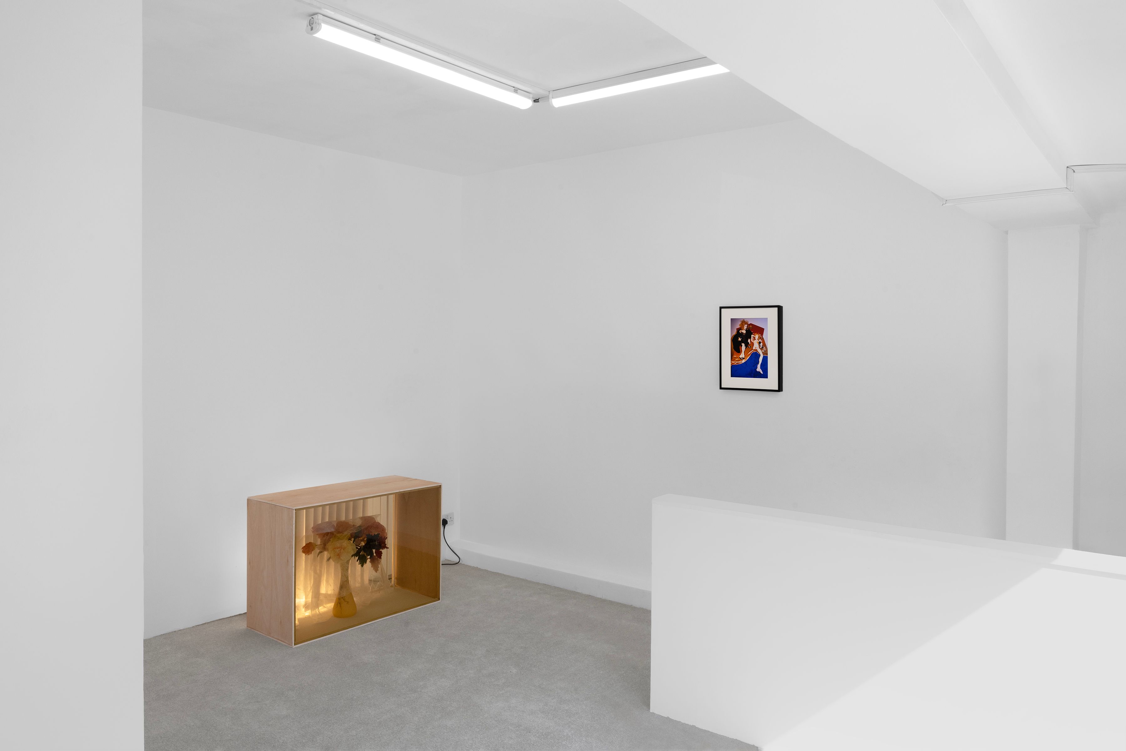 Prerender image 7