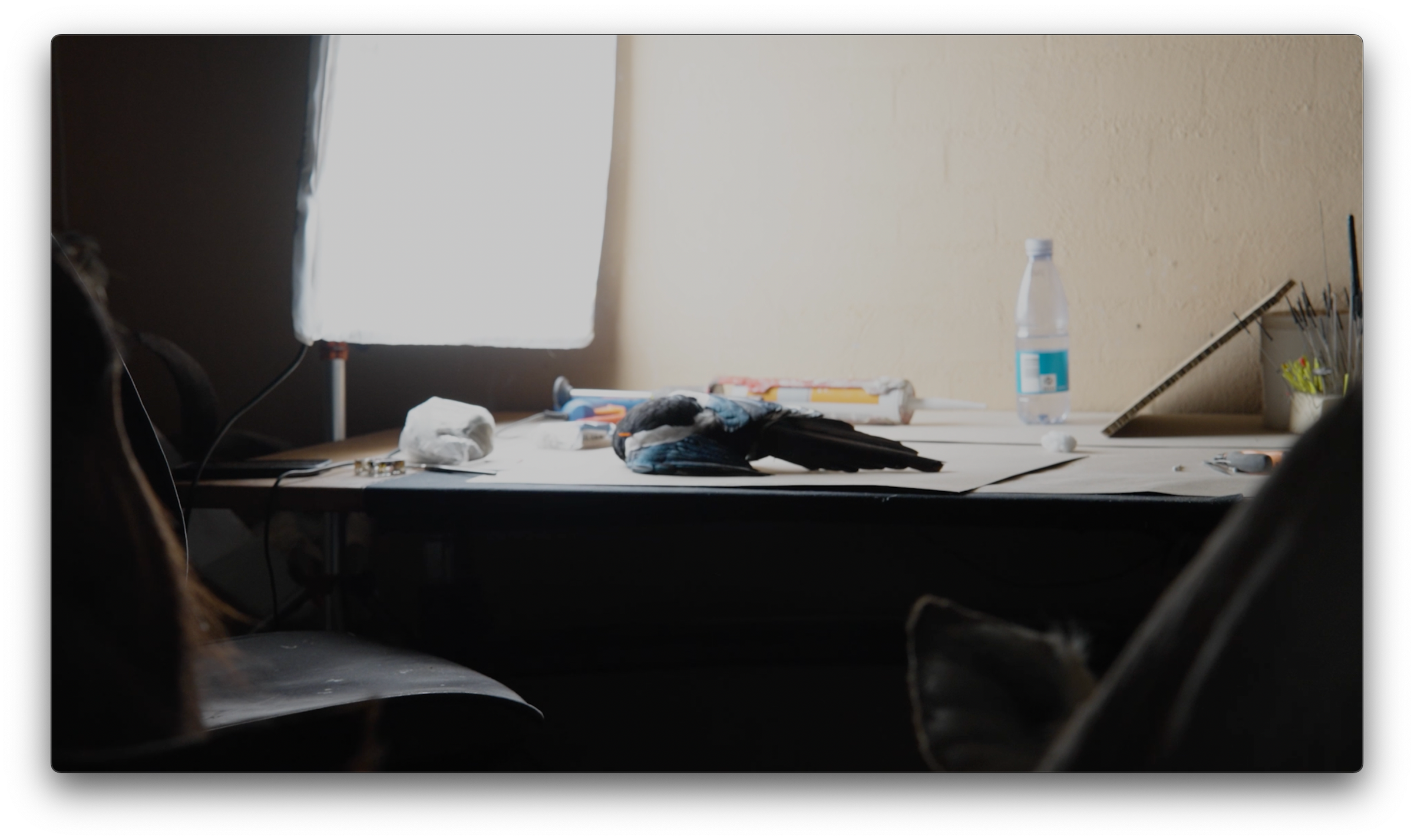 Hover prerender image 33