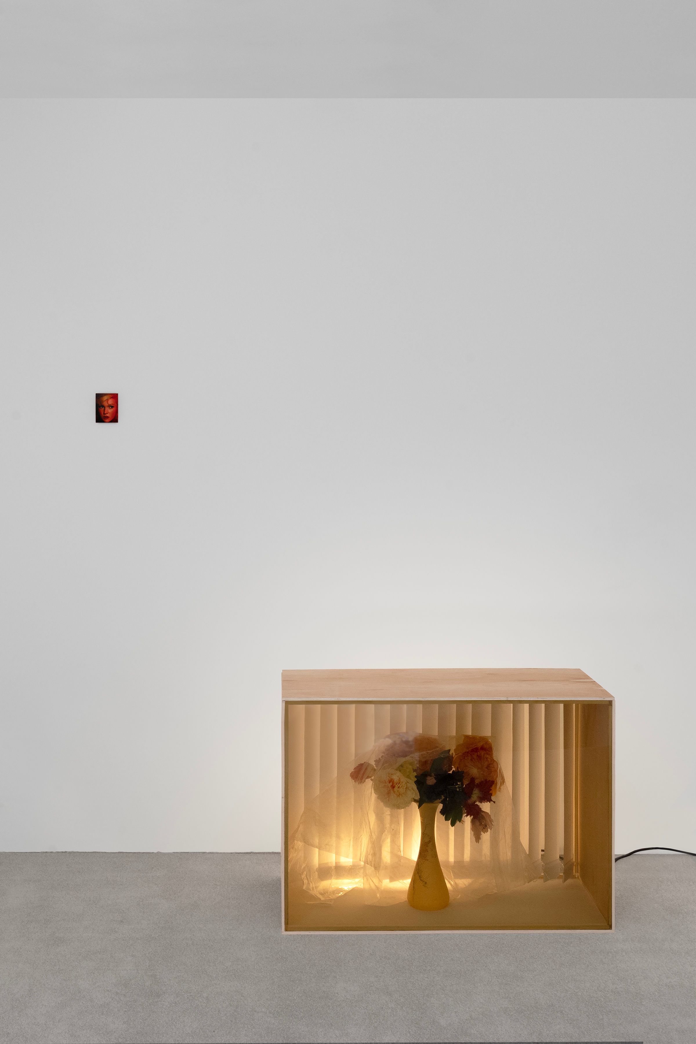 Prerender image 4