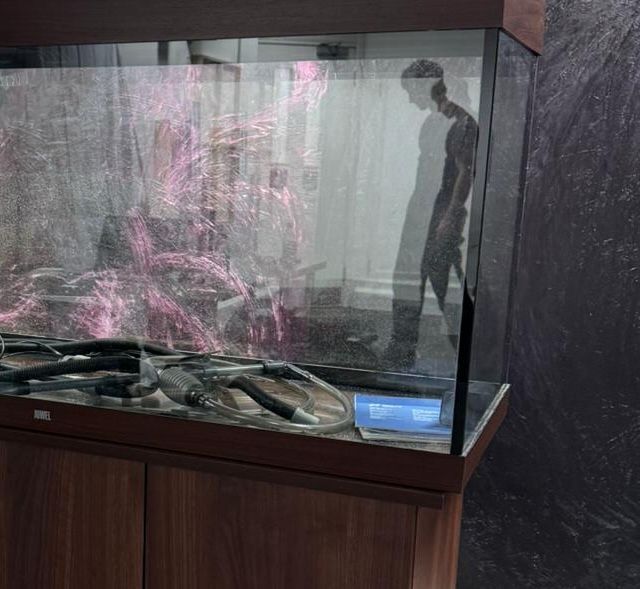 Hover prerender image 61