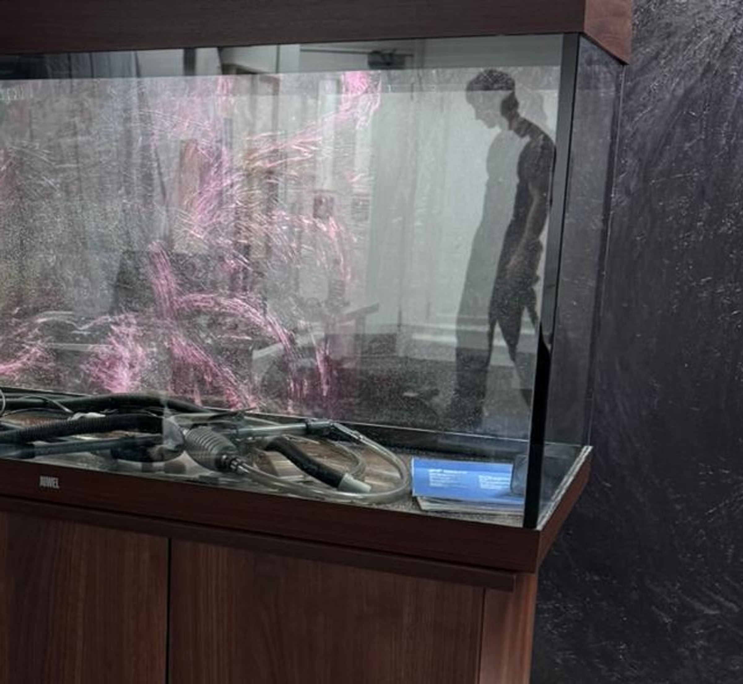 Hover prerender image 54