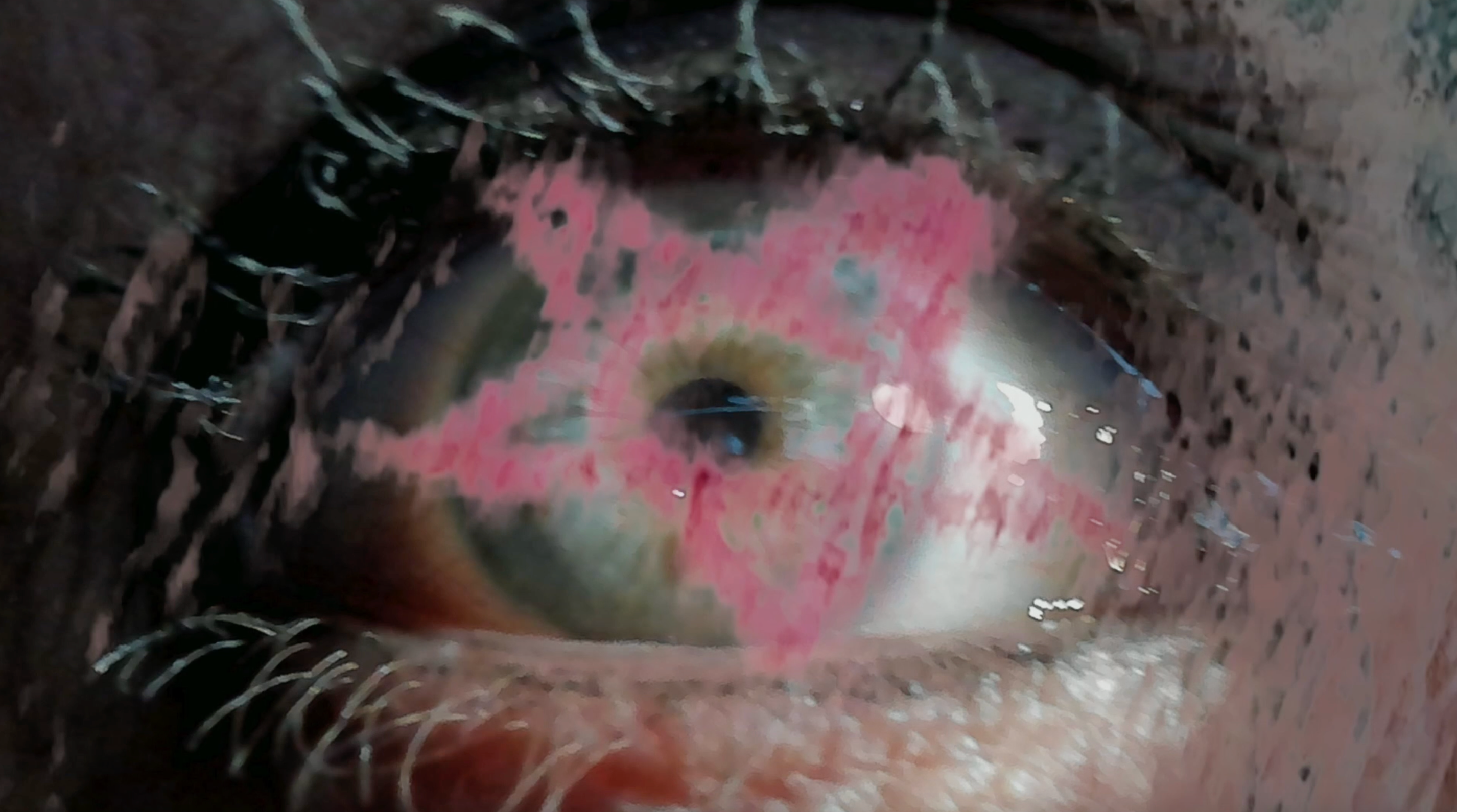 Prerender image 6