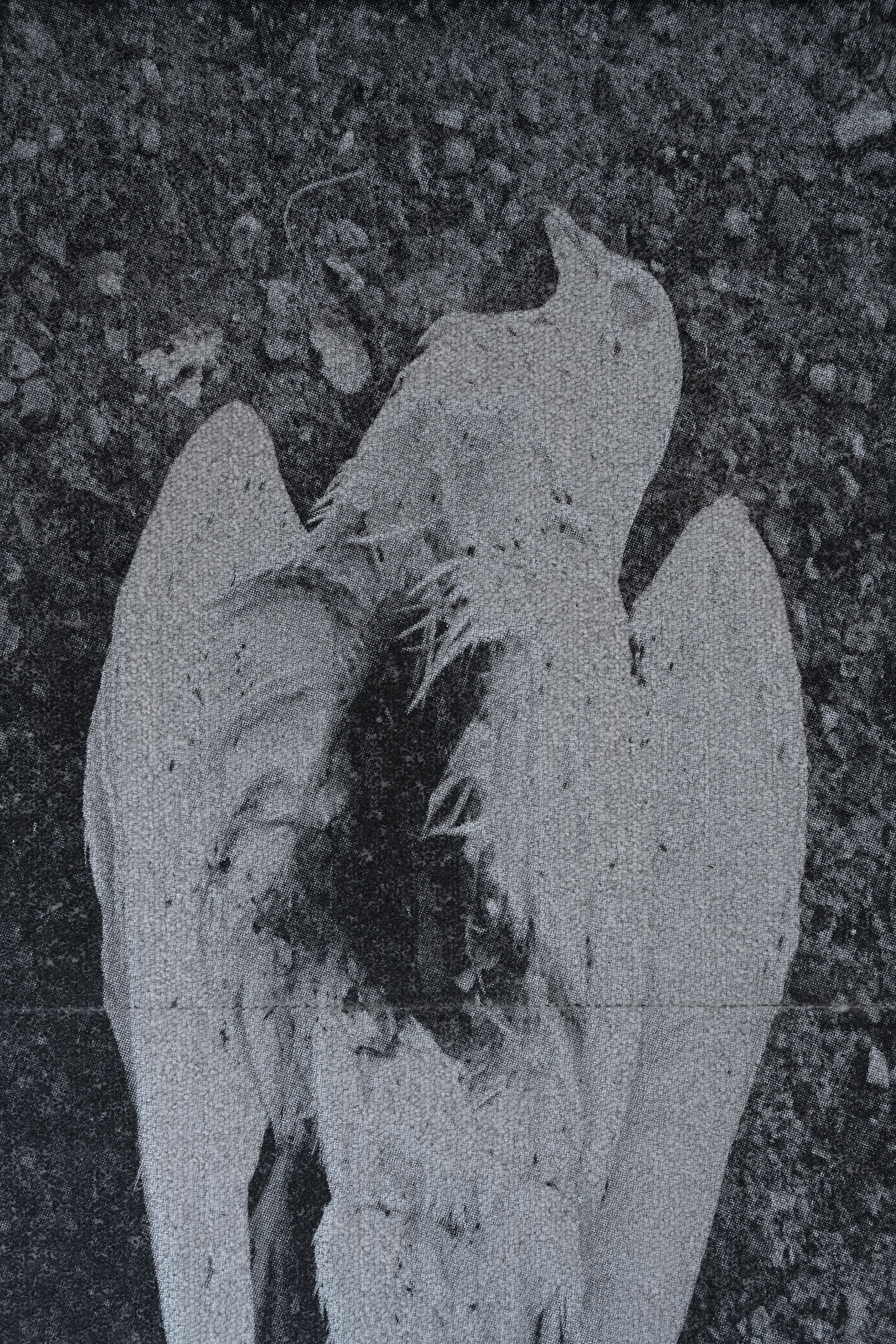 Hover prerender image 37