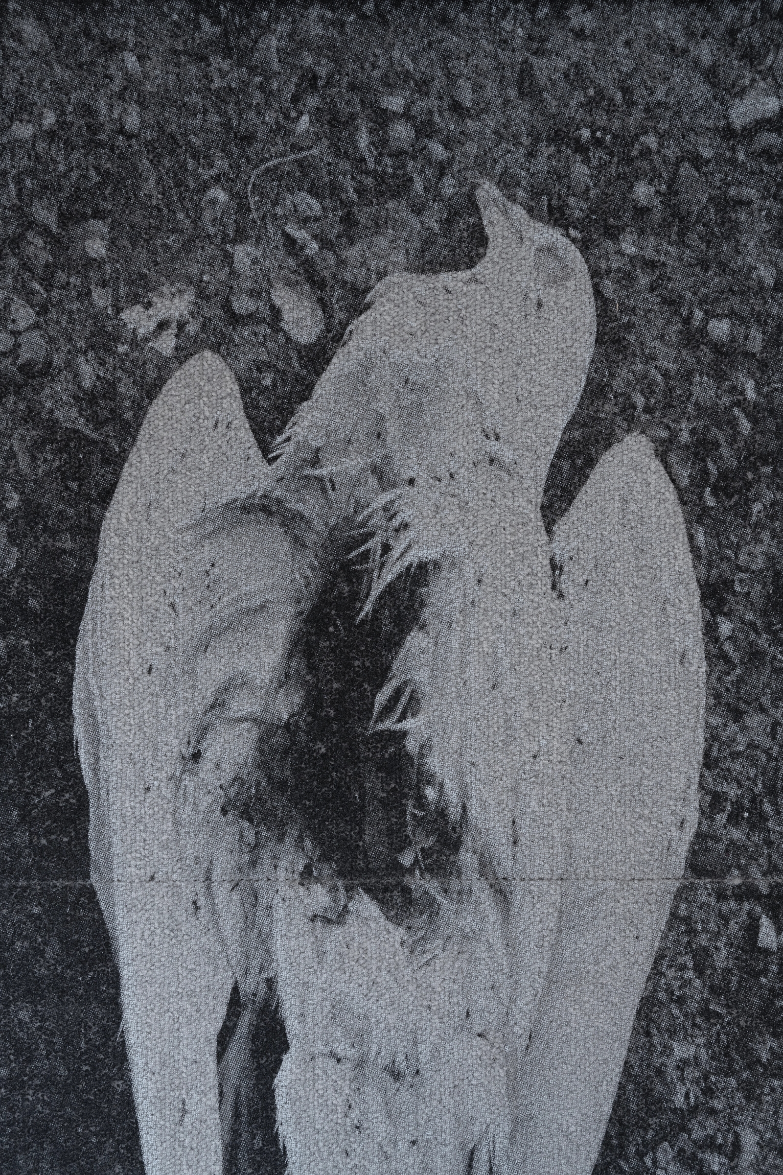 Hover prerender image 30