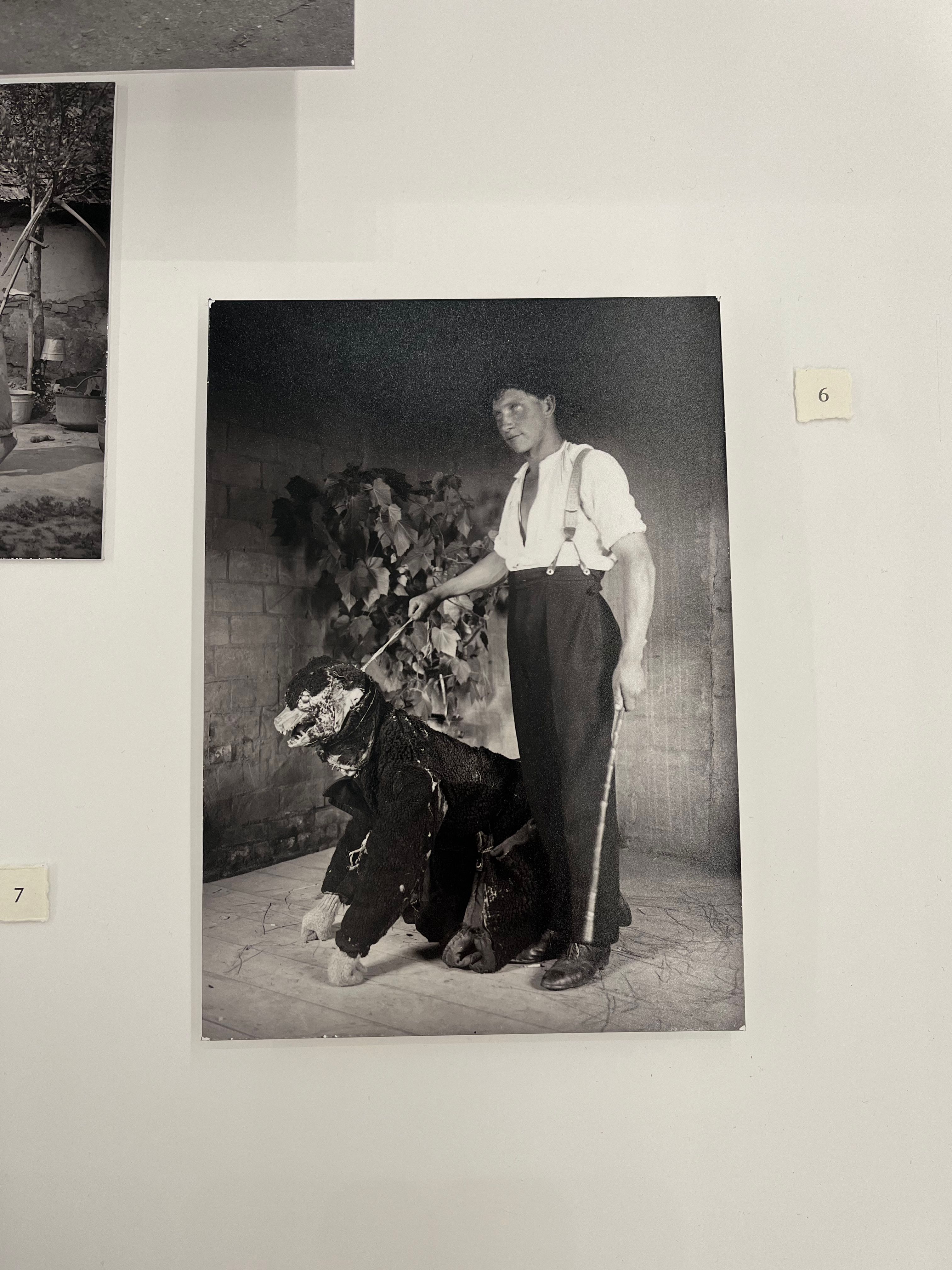 Hover prerender image 72