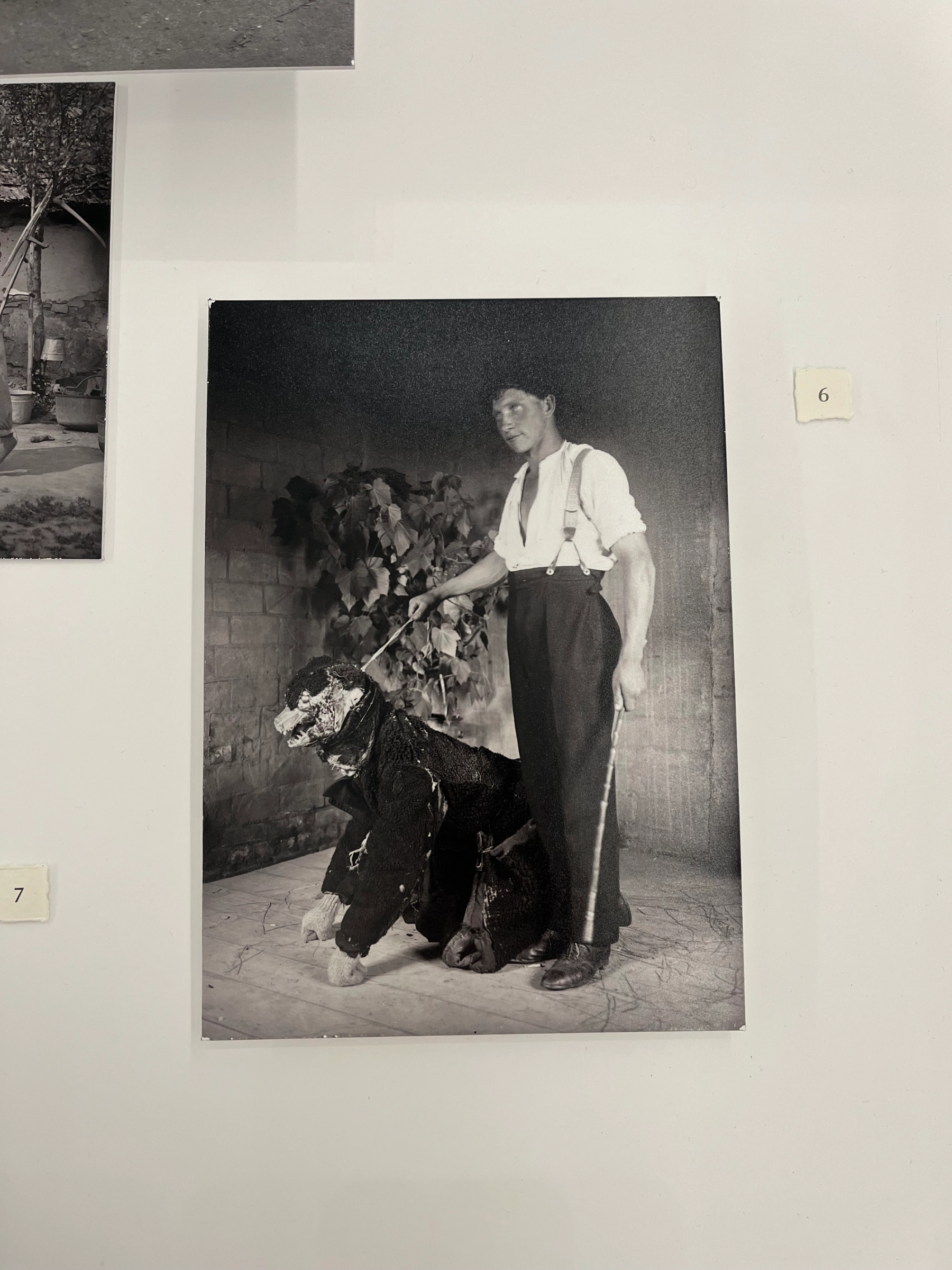 Hover prerender image 65