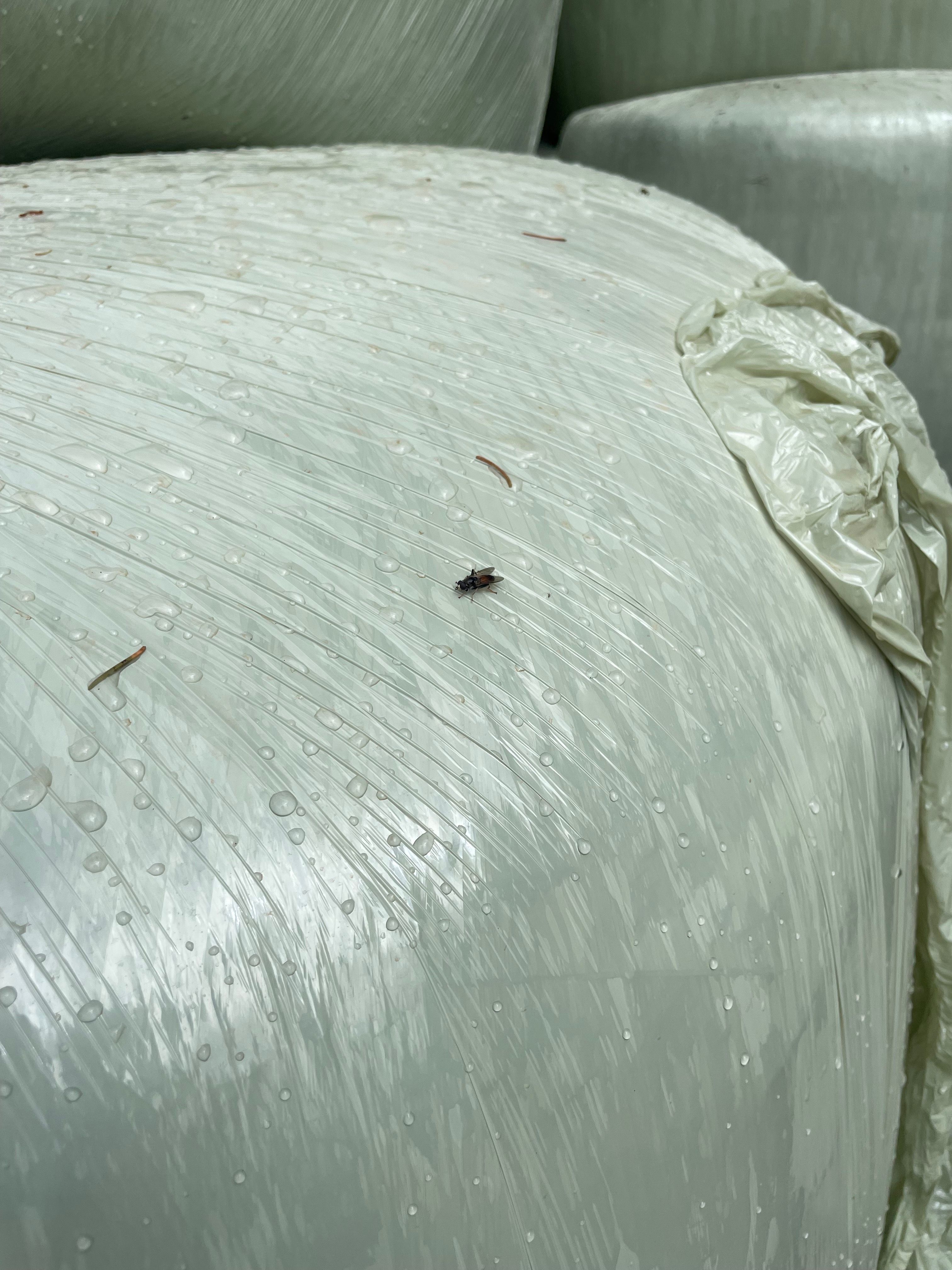 Hover prerender image 46