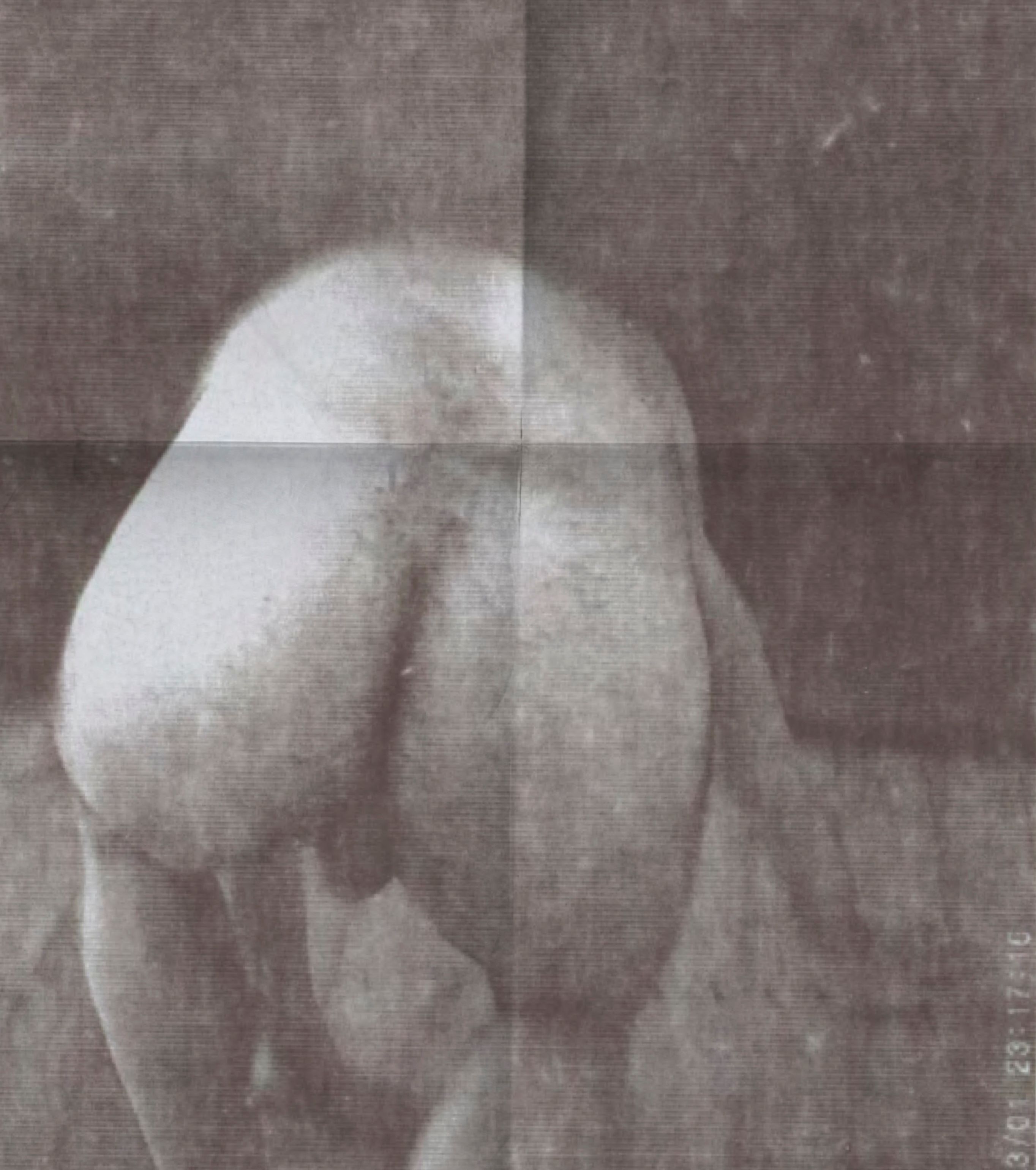 Hover prerender image 71