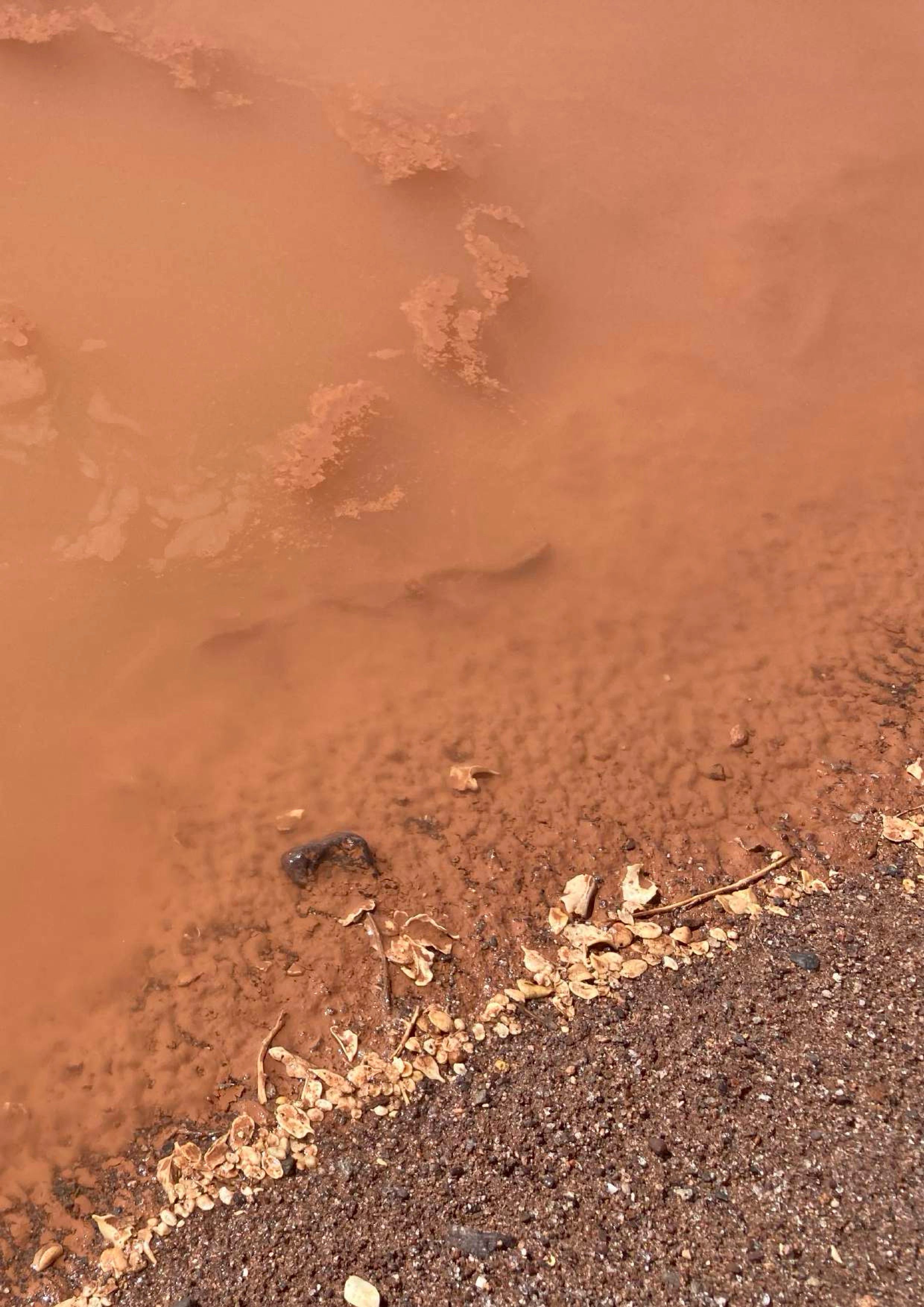 Hover prerender image 81