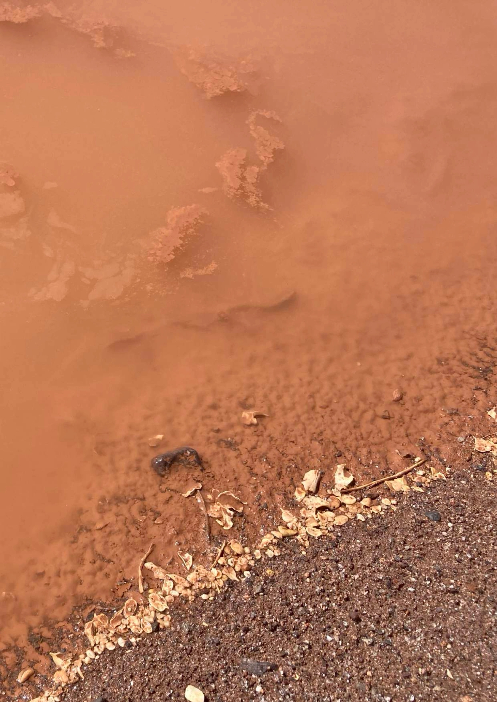 Hover prerender image 74