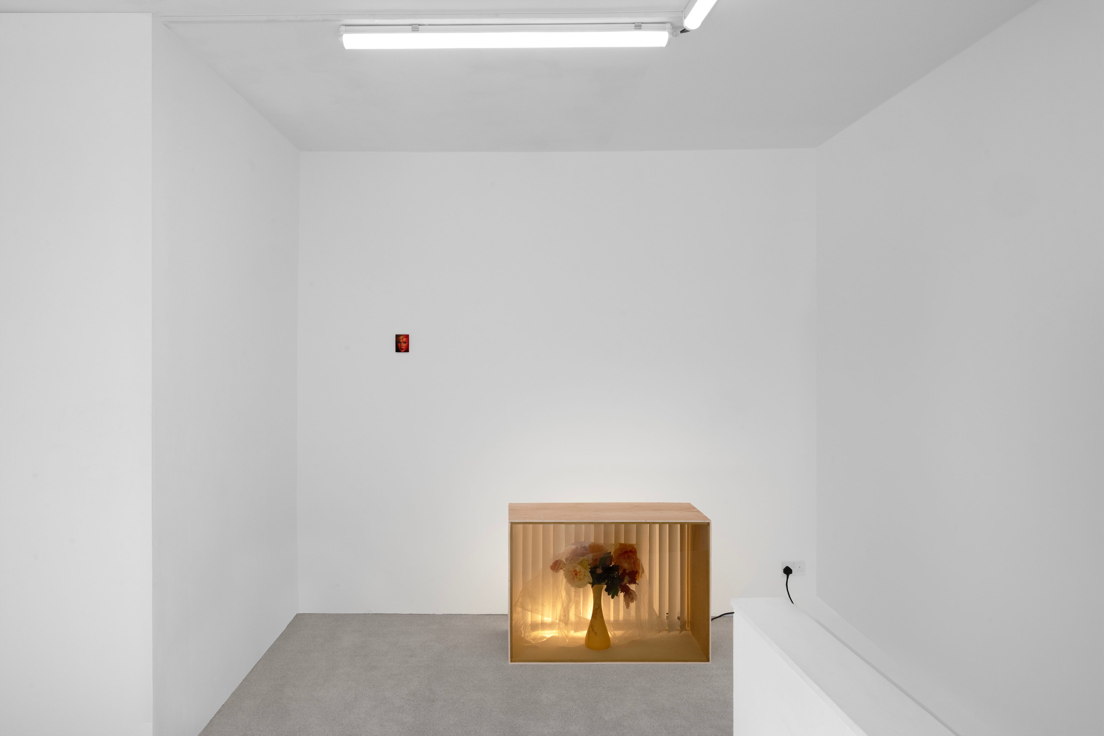 Prerender image 1