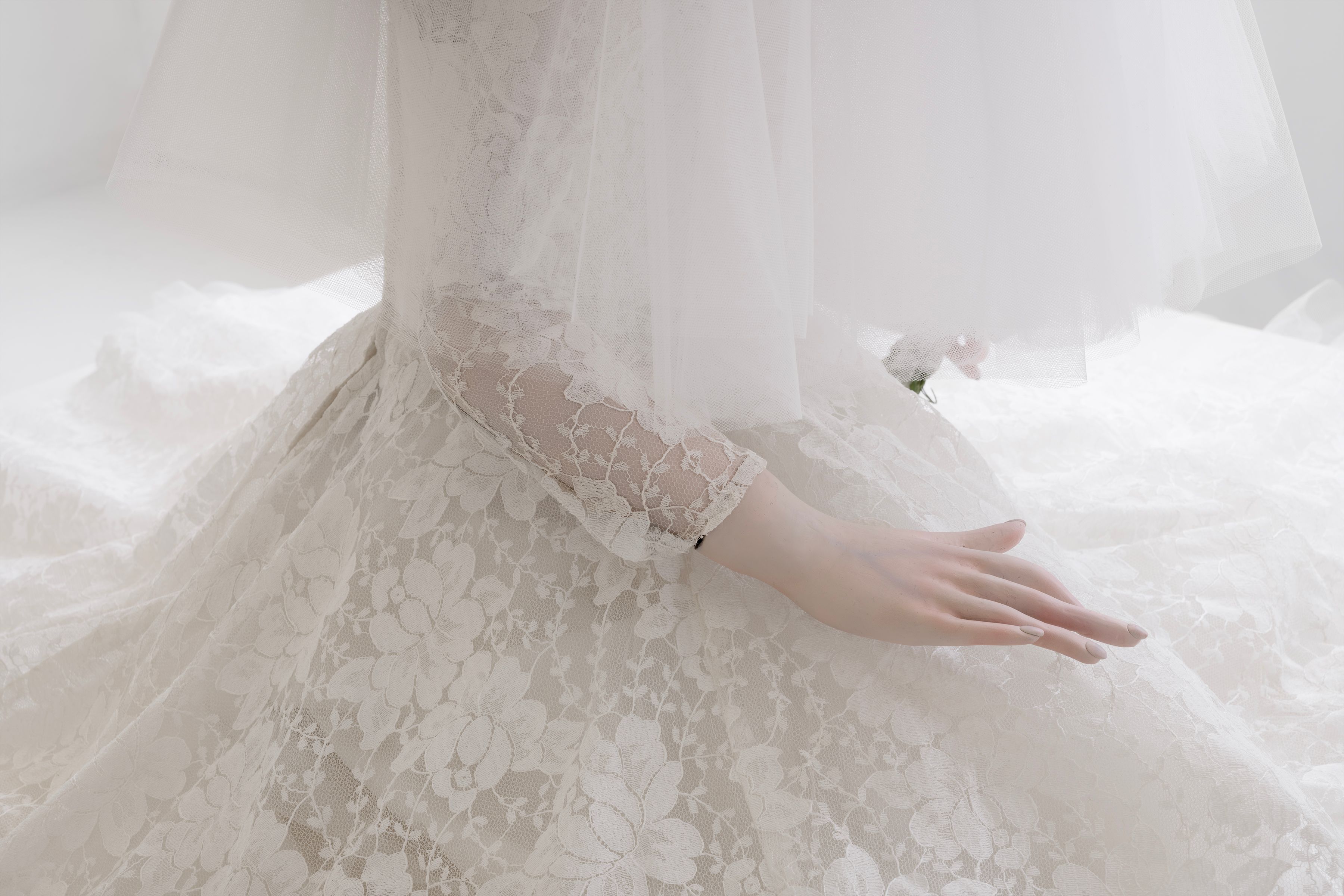 Hover prerender image 66