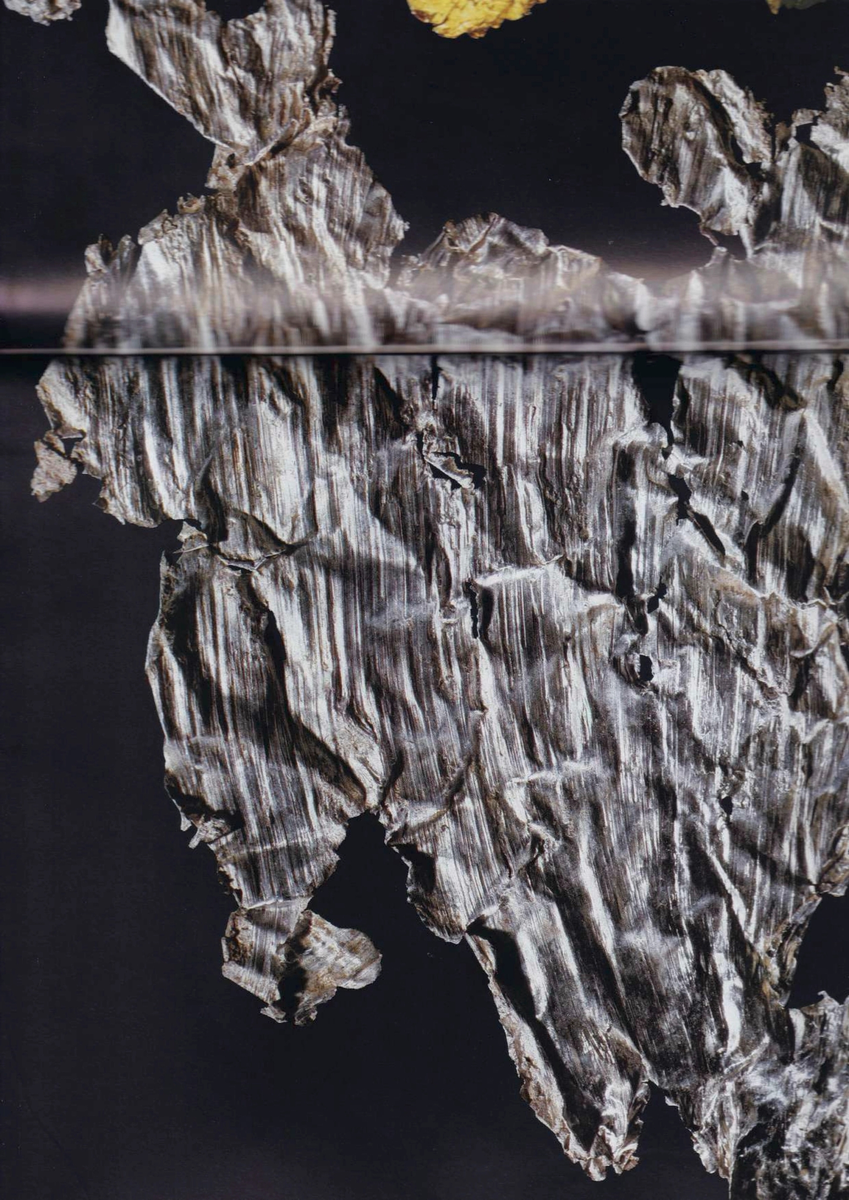 Hover prerender image 75