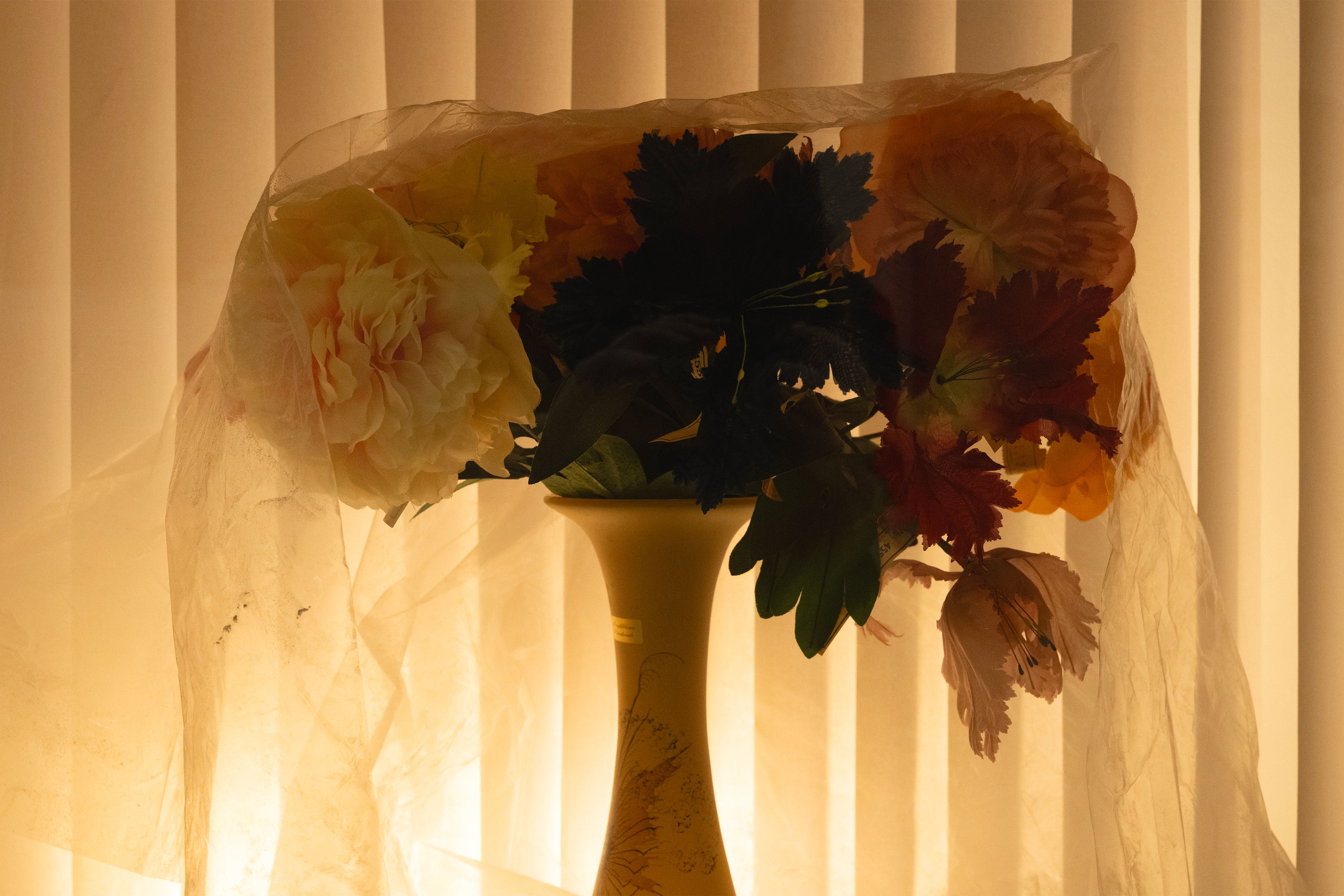 Prerender image 6