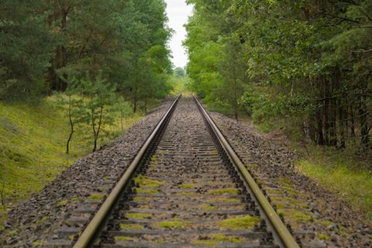 train rail between green trees
