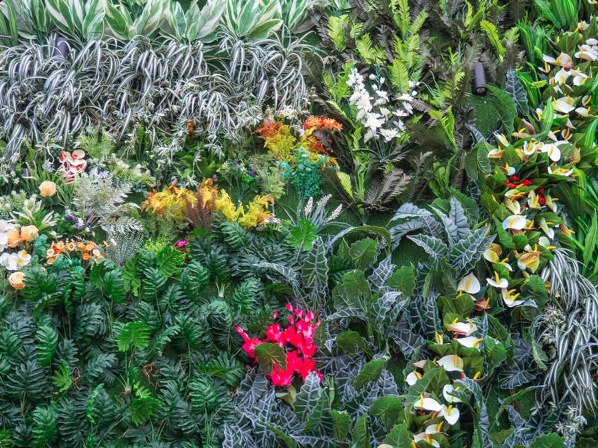 Flourishing Plant Ecosystem