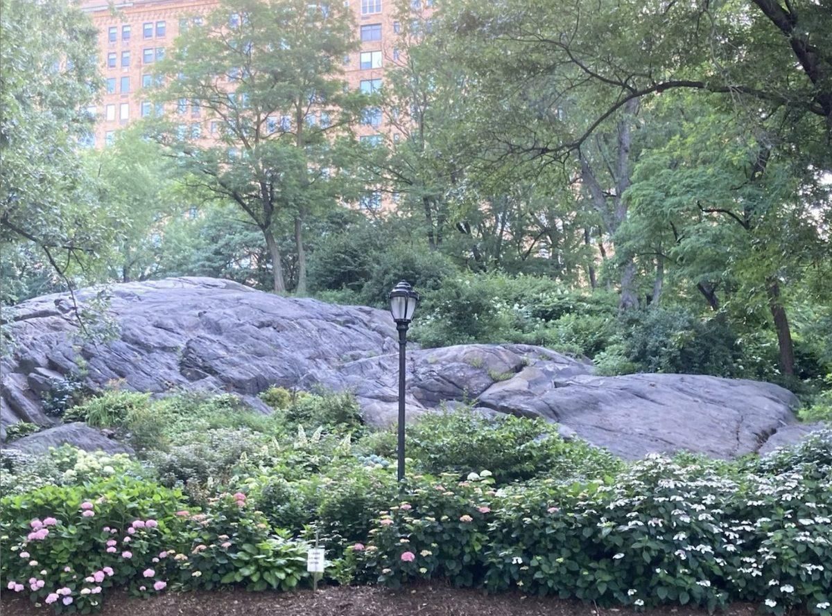 Lush spring garden scene