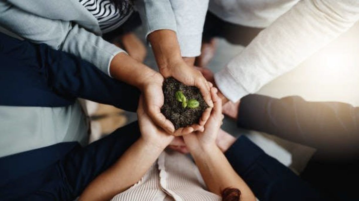 hands in the center holding a pile of dirt from which a single green plant sprouts
