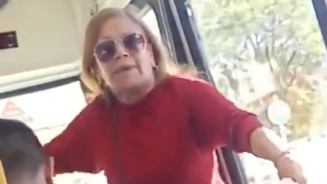 VIDEO: una señora discutió con un grupo de militantes en un colectivo y se volvió viral