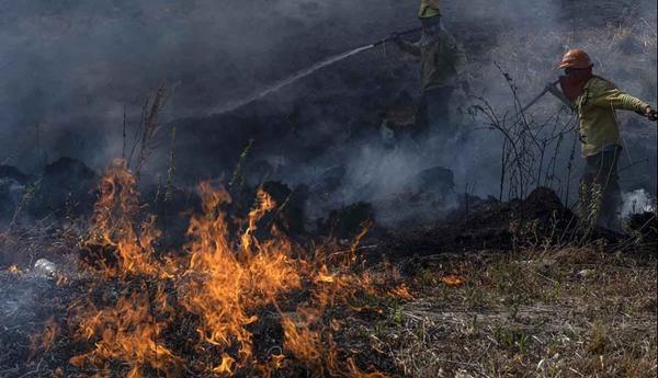 Alerta por riesgo de incendios forestales muy alto en General Pueyrredon