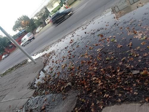 Épocas de dengue: preocupacion por una gran cantidad de agua estancada ¿potable?
