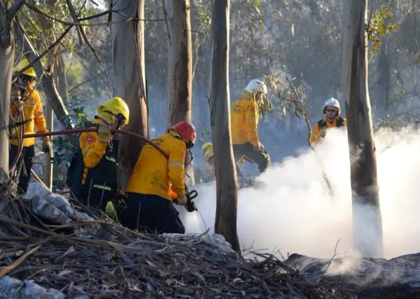 Un llamado a la comunidad: emitieron una alerta por riesgos muy altos de incendios forestales