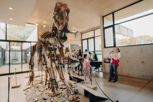 Actividades imperdibles en el Museo de Ciencias Naturales Lorenzo Scaglia
