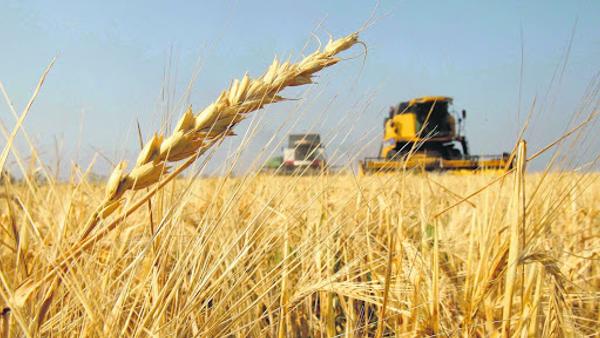 La Provincia aumentará un 28% un impuesto al campo en 2025 y generó malestar en el sector ruralista