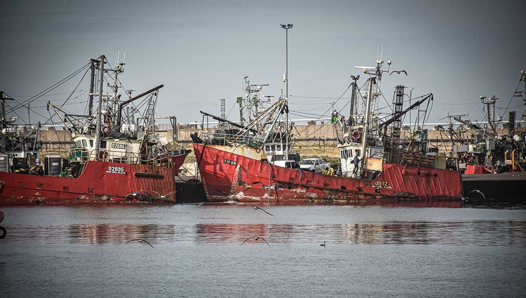 Seguirá la demora de zarpadas de buques en el puerto de Mar del Plata