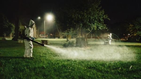 Detectan presencia del mosquito Aedes aegypti en Mar del Plata y refuerzan la prevención