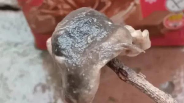 Encontró restos de una rata dentro de una chocolatada y terminó internada