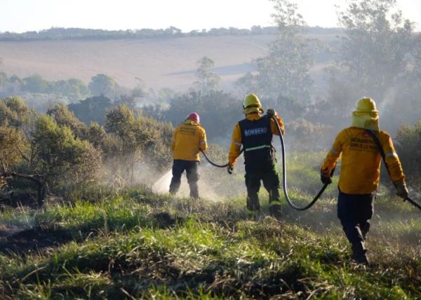Advierten por alto riesgo de incendios forestales en General Pueyrredon: el domingo será "extremo"