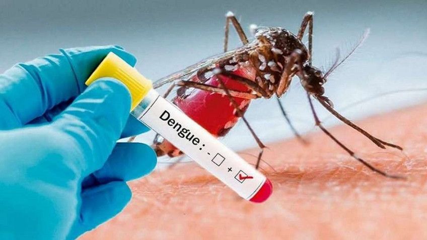 Confirmaron que ya hay brotes de dengue en La Costa, Villa Gesell y Tandil. 