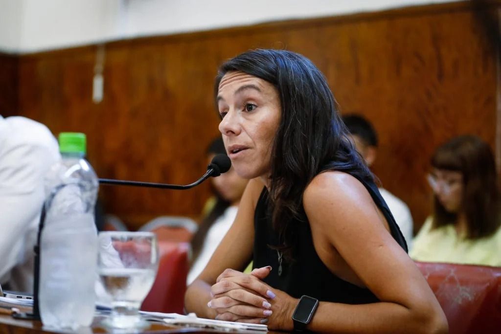 " Nuestro reclamo es saber cuántas patrullas municipales hay en funcionamiento "
