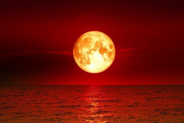 Eclipse total: la “Luna de Sangre” teñirá el cielo en la madrugada del viernes