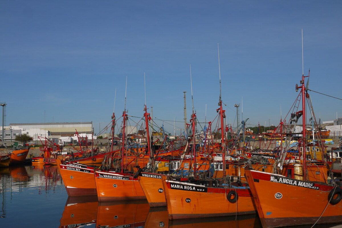 Llaman a licitación para volver a dragar el puerto: invertirán casi 6 millones de dólares