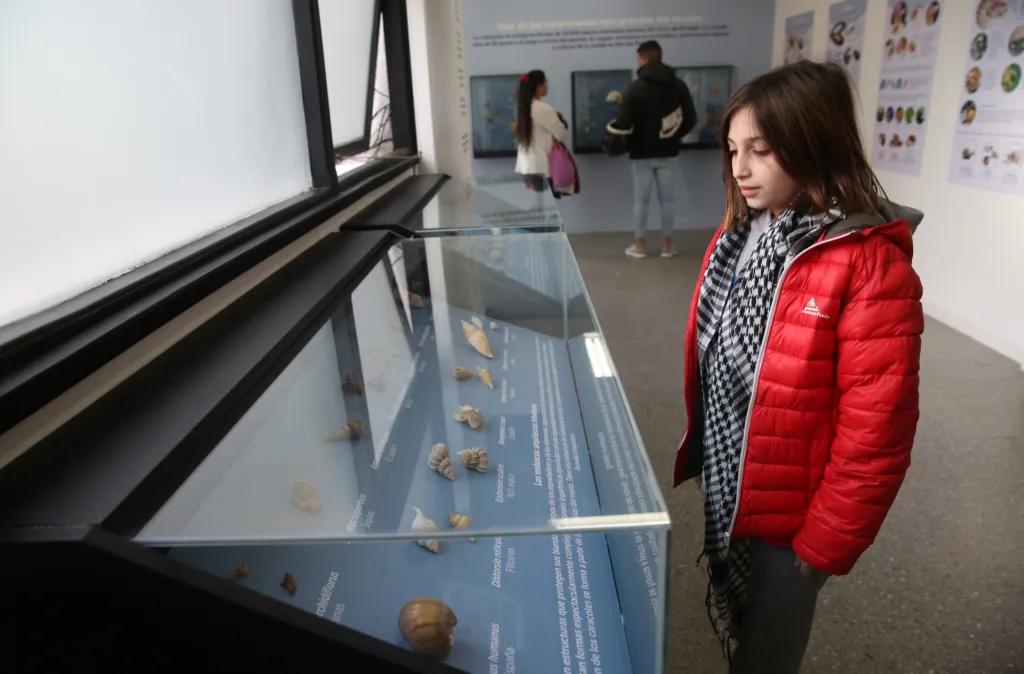 Descuento del 25% en entradas a espacios culturales y museos para jubilados, estudiantes y residentes