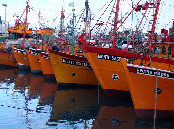 Preocupación en el sector pesquero por el posible aumento de los Derechos Únicos de Extracción