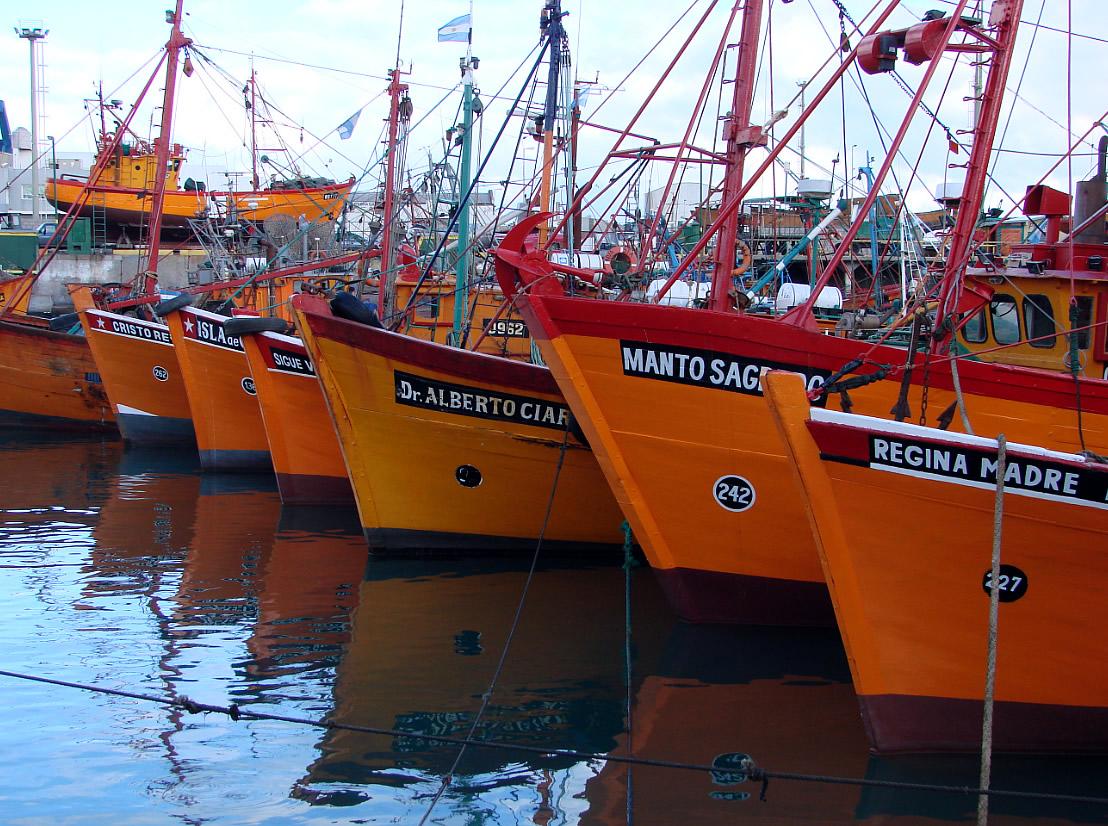 Preocupación en el sector pesquero por el posible aumento de los Derechos Únicos de Extracción