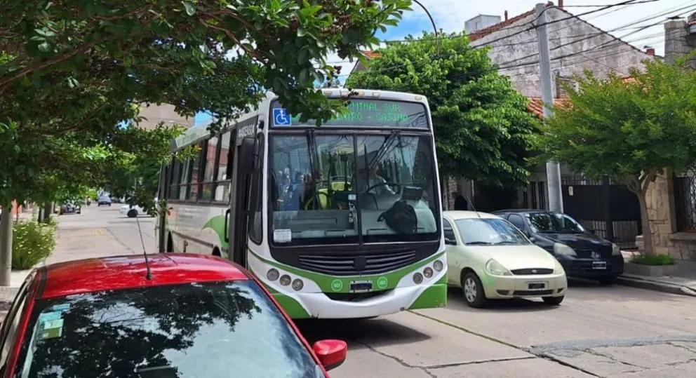 Mar del Plata no tendrá colectivos gratis el domingo de elecciones