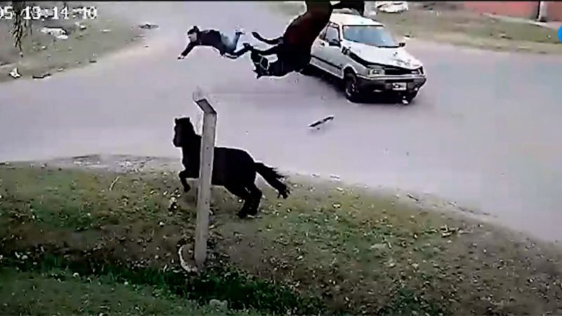 Incidente en Rosario: un joven de 16 años se robó un caballo y mientras huía un Fiat duna lo chocó