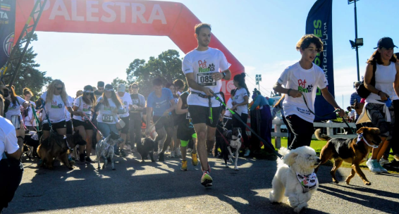 La Pet Run reunió a más de 300 participantes en Mar del Plata y vacunaron a más de 100 perros