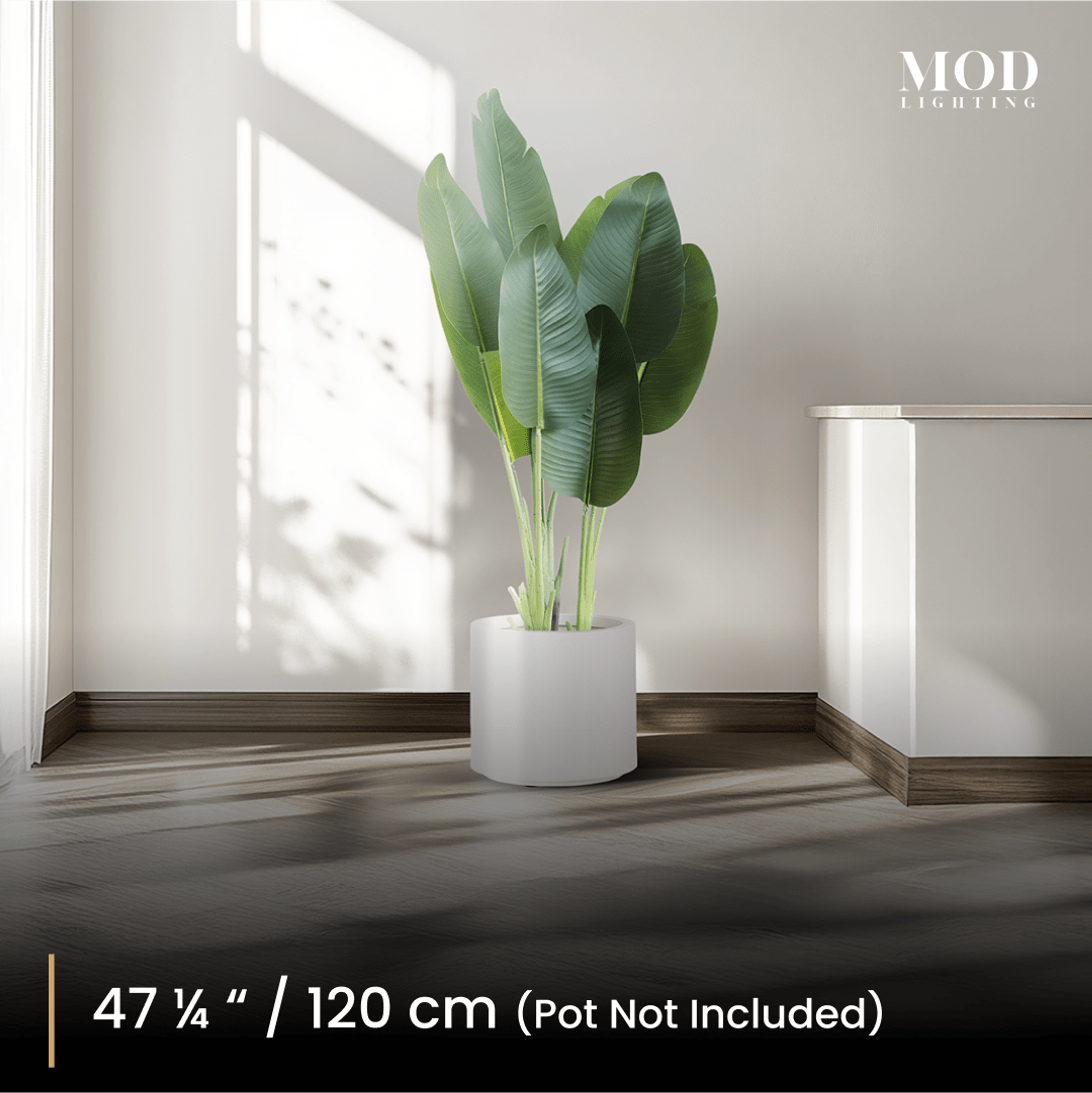 120 cm