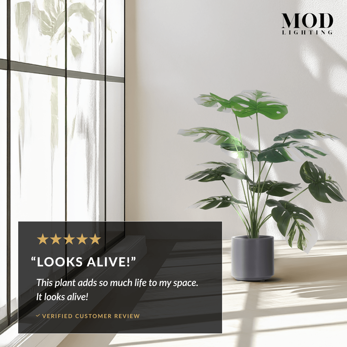 Monstera Albo artificial plant in a grey pot by a window, with a five-star "Looks alive!" customer review overlay
