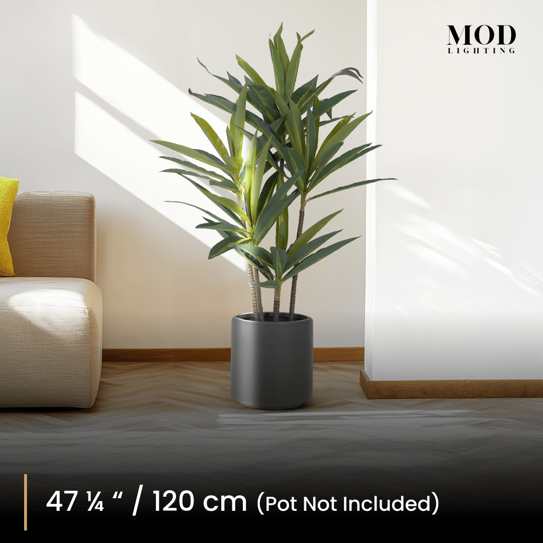 120 cm