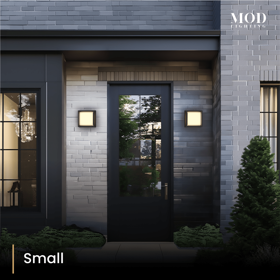 Solen small