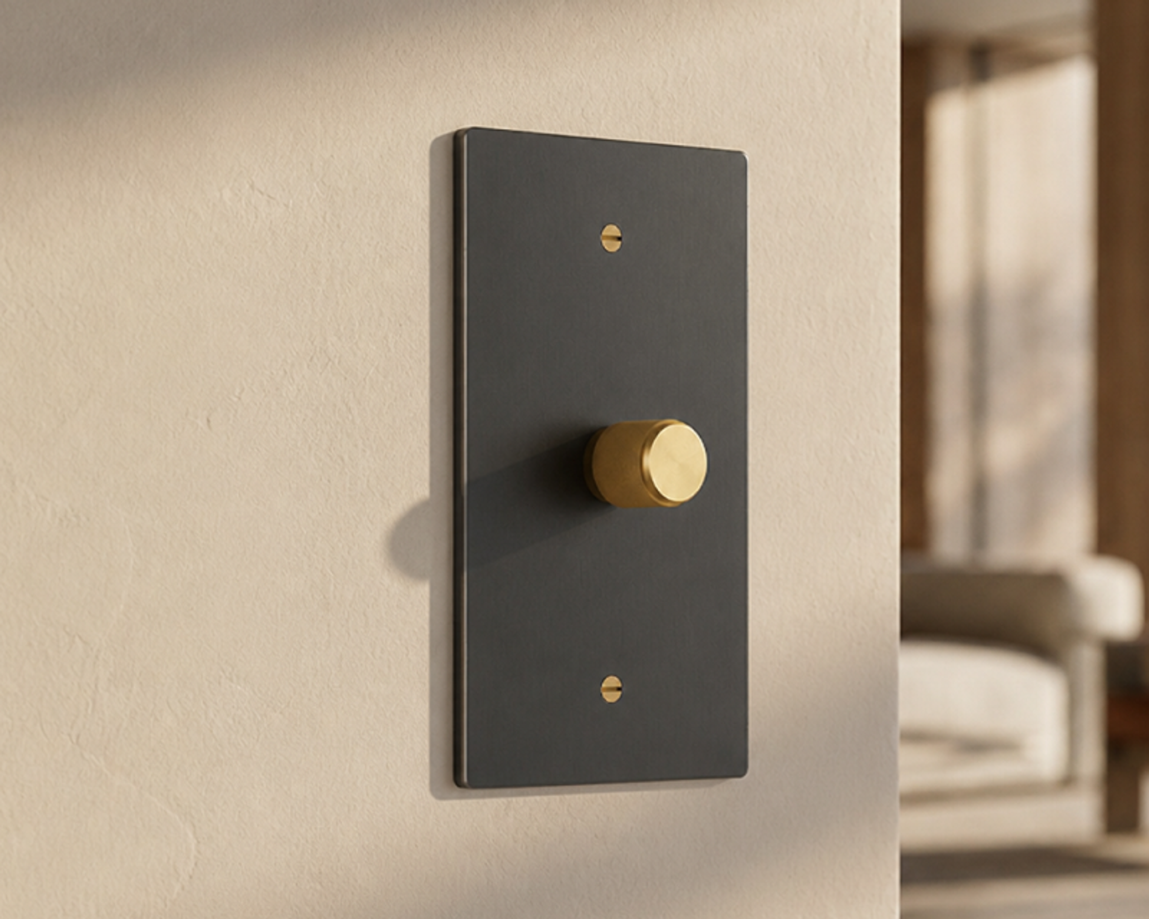 Brass toggle switch and outlet plates
