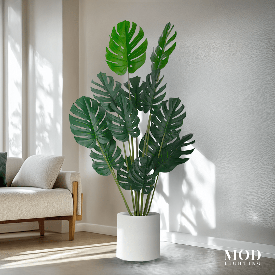 Monstera hover